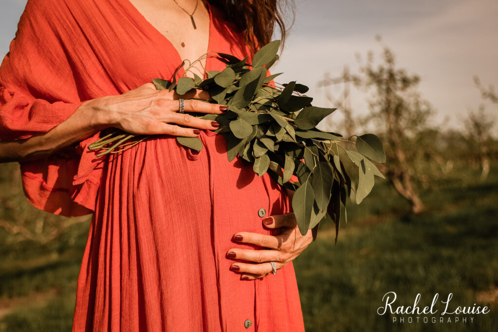 Iowa City, Iowa Maternity Photographer | Rachel Louise Photography LLC